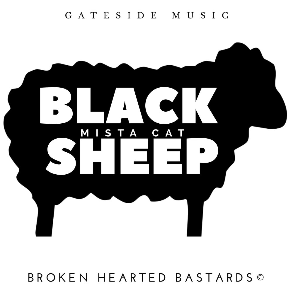 Sheep слушать. Black Sheep. Black Sheep Metric. Black Sheep Metric Жанр.