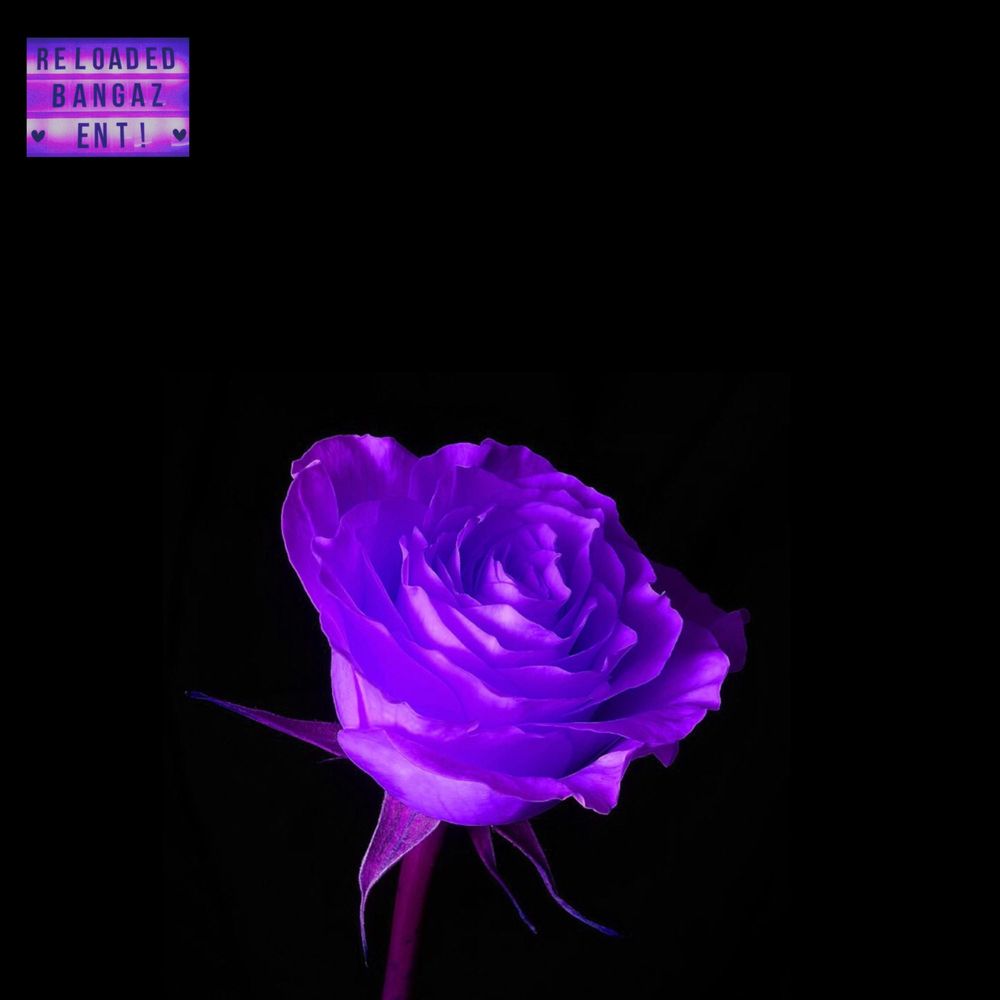 Joe rose. Dead Rose Purple Black Night. Фото Johnny Light Purple Rose.