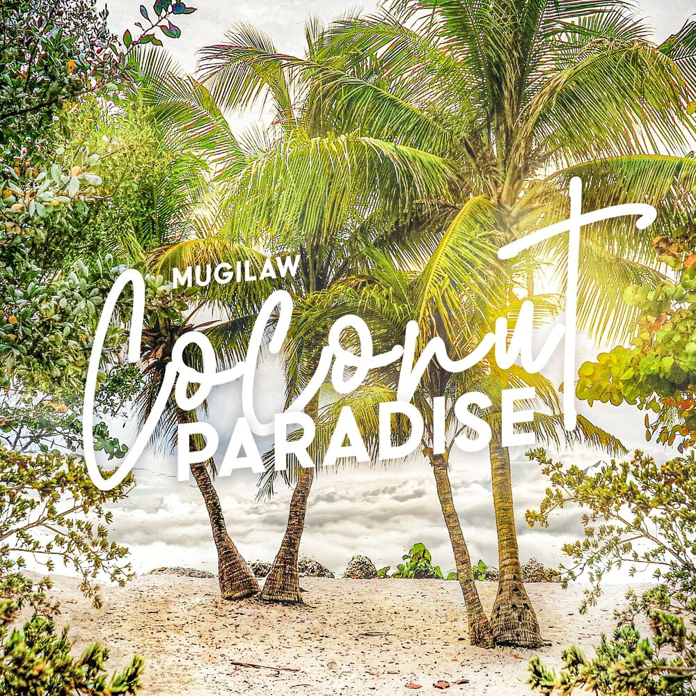 пунта кана кокосы. кокосы пальмы море. Coconut house rawai. Coconut villa найхарн. кокос картинки.