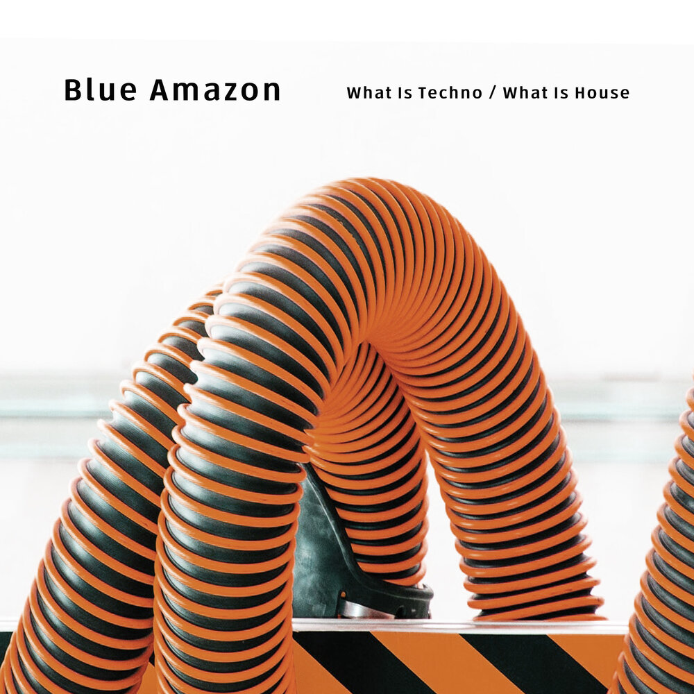 Blue amazon. Amazon Blue.