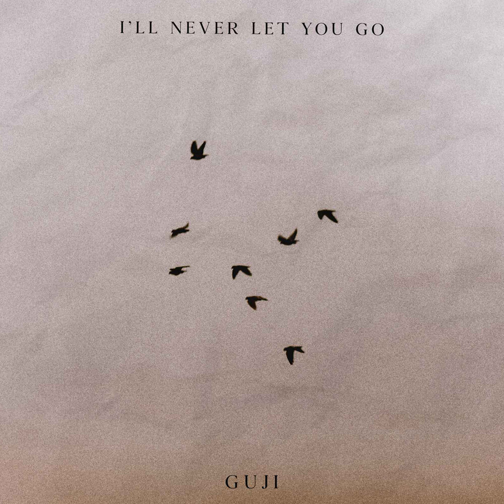 Песни i let you go. Never Let you go. Never Let you go композитор. Let you go песня. Never never Let you go.