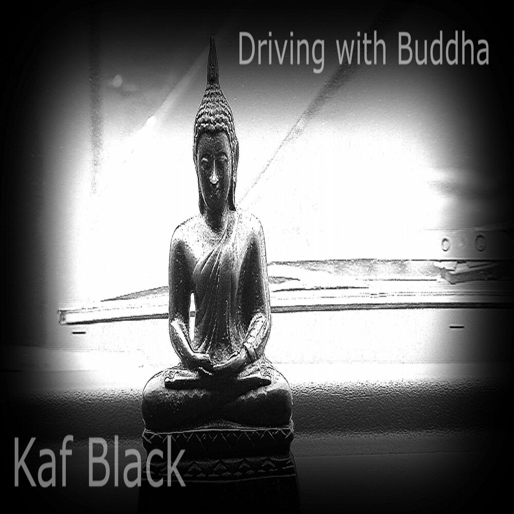 Черный Будда. Будда 144. Черная кошка и Будда. Ахаха ищи себя Будда. Будда слушает аудиокнига