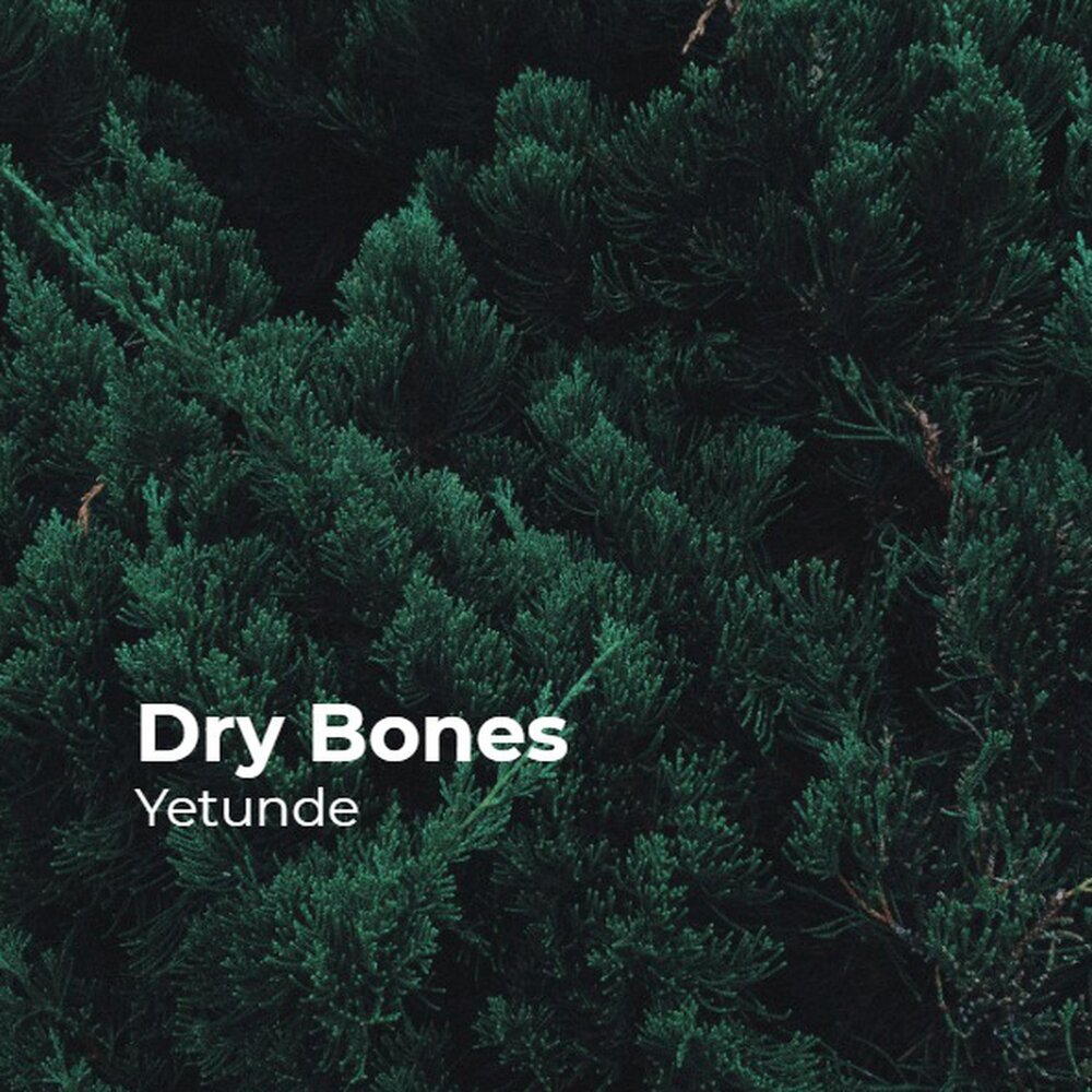 Dry bones