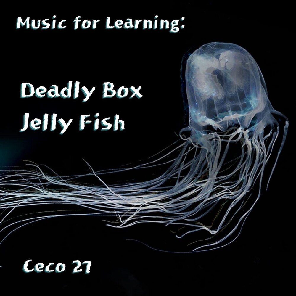 Fish слушать. Box Jellyfish. Jellyfish Cut прическа. САП js Jelly Fish. Box Jellyfish перевод.