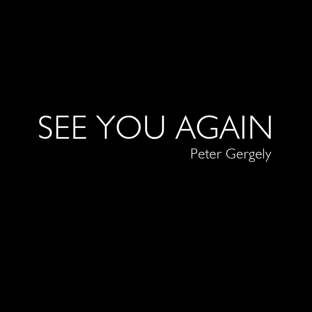 Песня see you again. See you again Instrumental. In the Dark i see you певец.