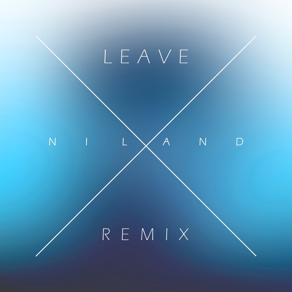 Leave remix