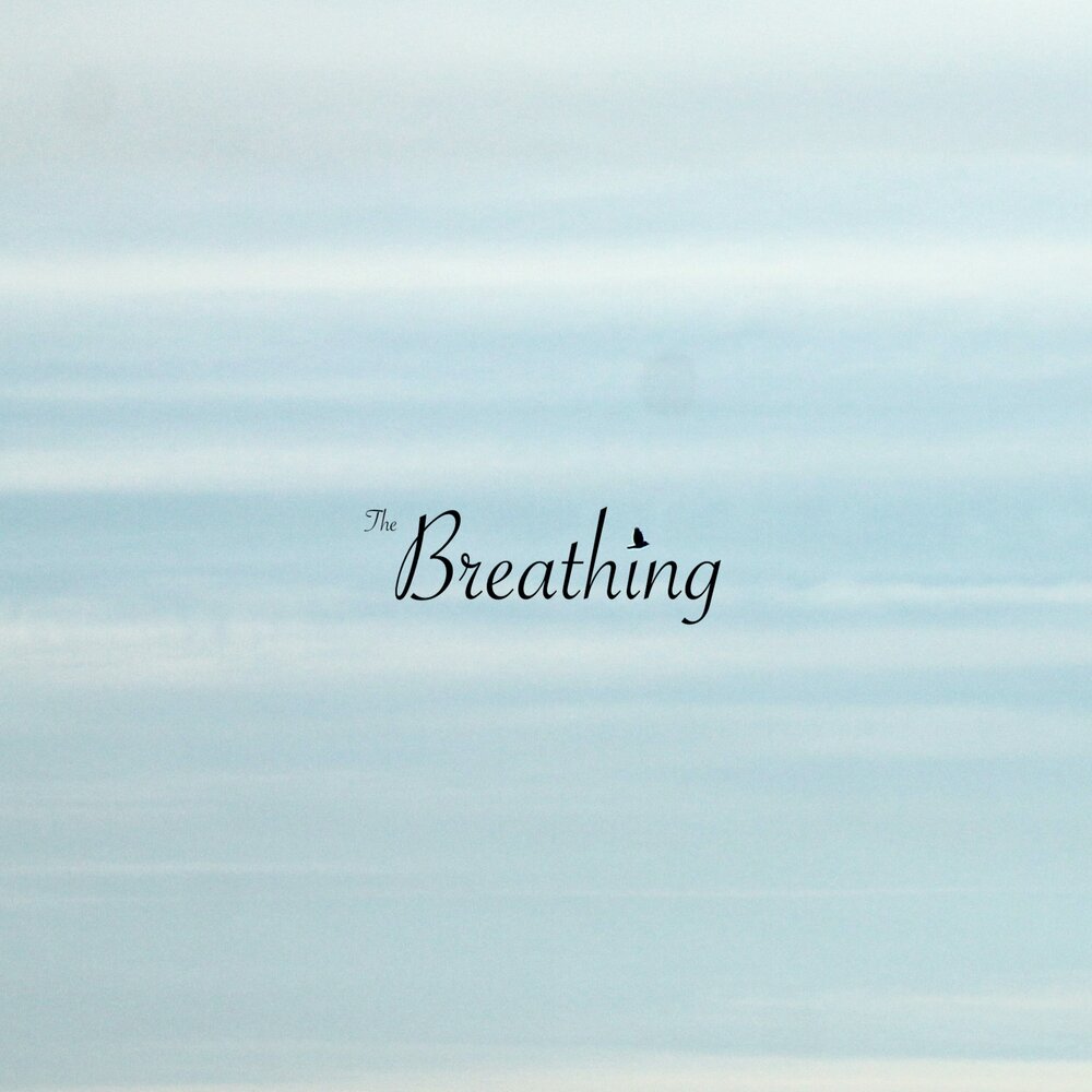 See breathe баку