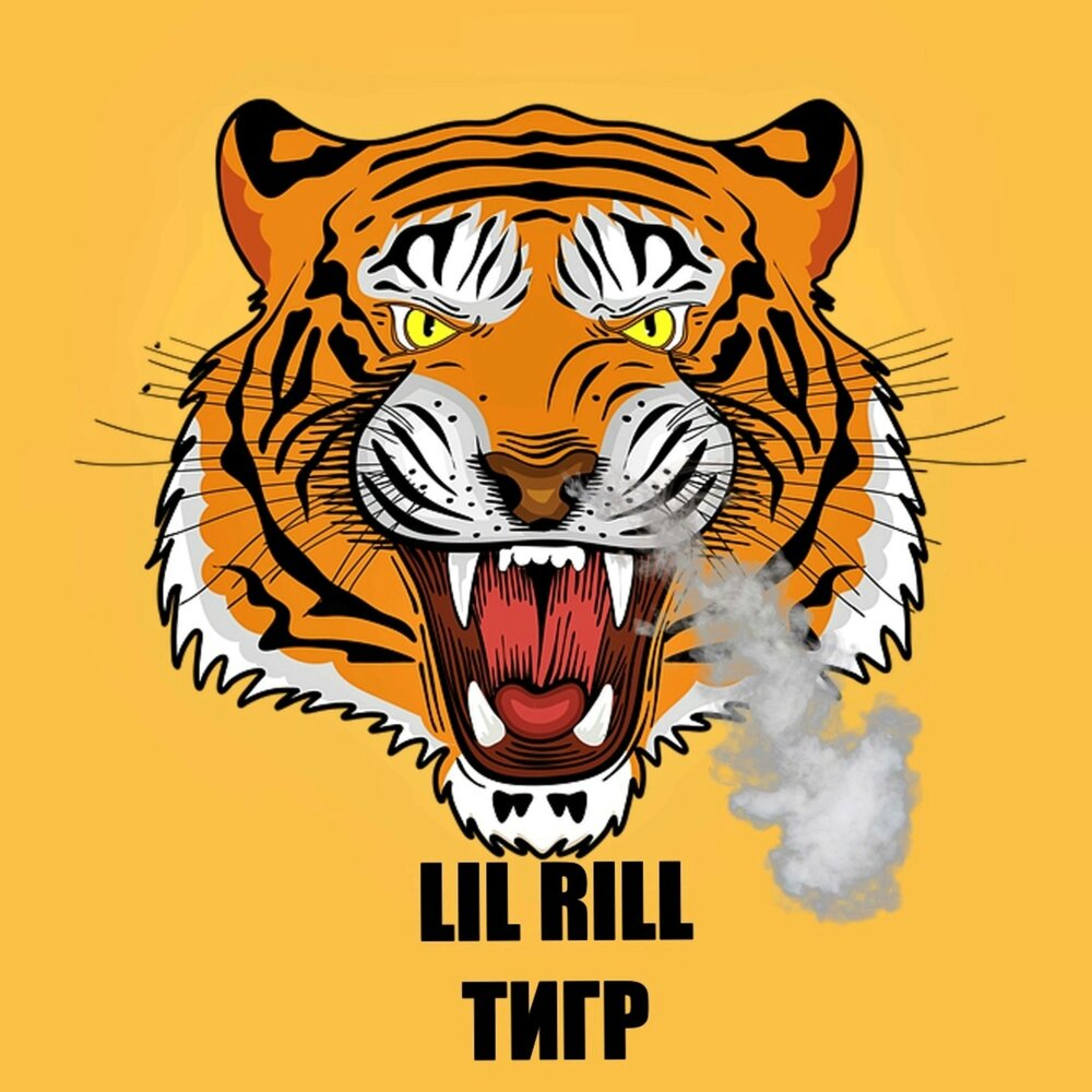 Братан тигр. Тайгер песня. Песню тигра был. Тигр песня. Tiger eyes.