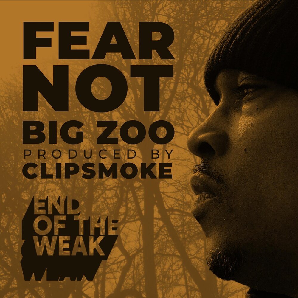 проект по английскому 5 класс furry friends. Zoo zoo песня слушать. Zoos listening. Zoos listening. Zoo альбом песни.