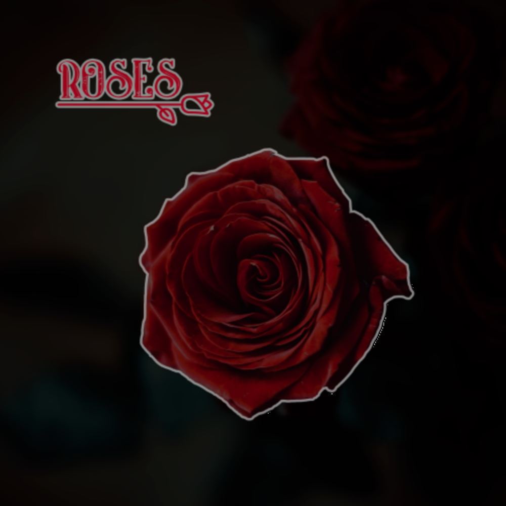 Roses imanbek. Black roses dancehall. Иманбек росес ремикс. Розовое песни. Roses ремикс.
