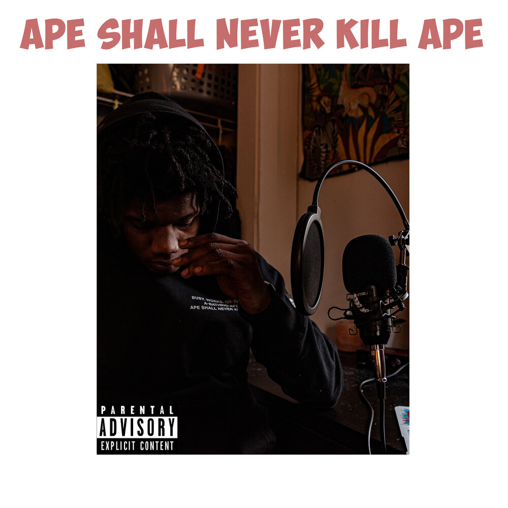 Never kills перевод. Ape shall never Kill Ape. Ape shall never Kill Ape одежда. Ape shall never Kill Ape футболка. Ape shall never Kill Ape одежда из клипа.