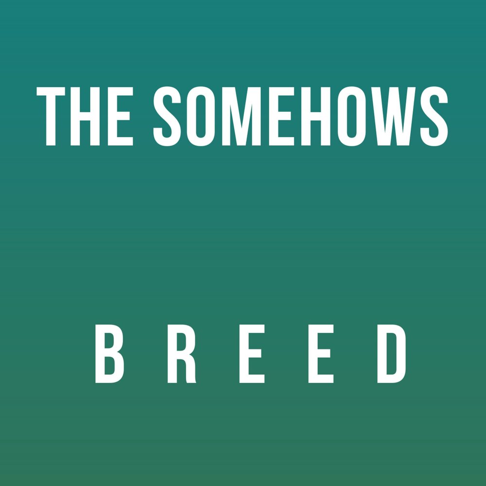 Bred песни. Bred. Bred cut. Bred песни. Bred песни.