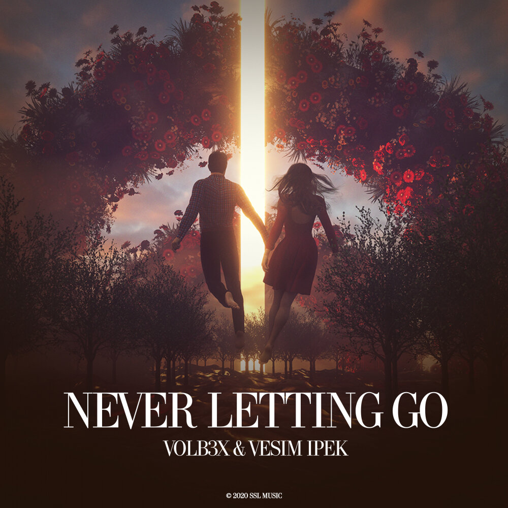 Never letting go record mix. Never letting go. volb3x. volb. never letting go hilzu.