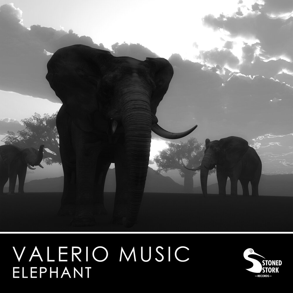 Elephant music