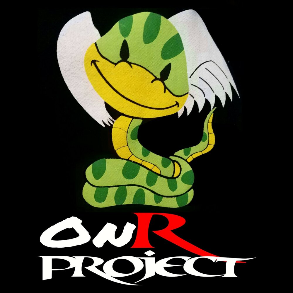 R project. N&R Project.