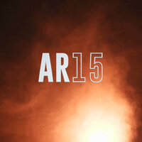 artist-cover