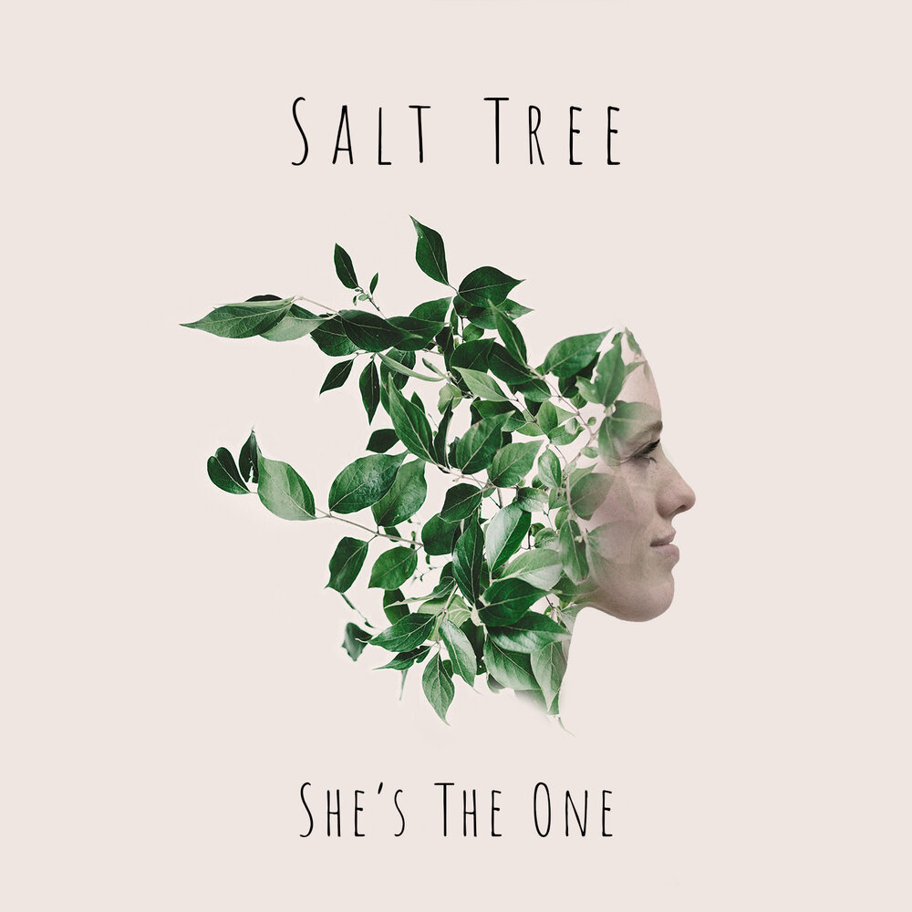 Salt tree. Salt tree