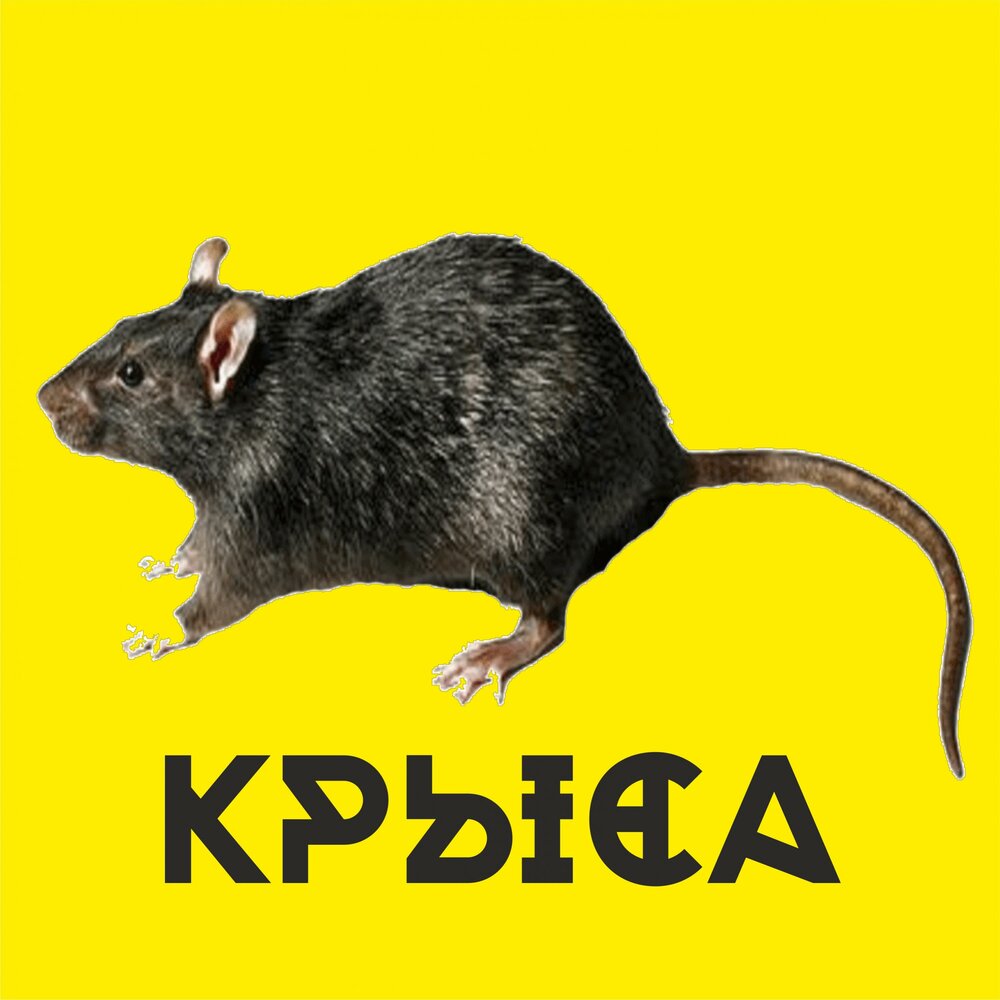 Лепс крыса слушать