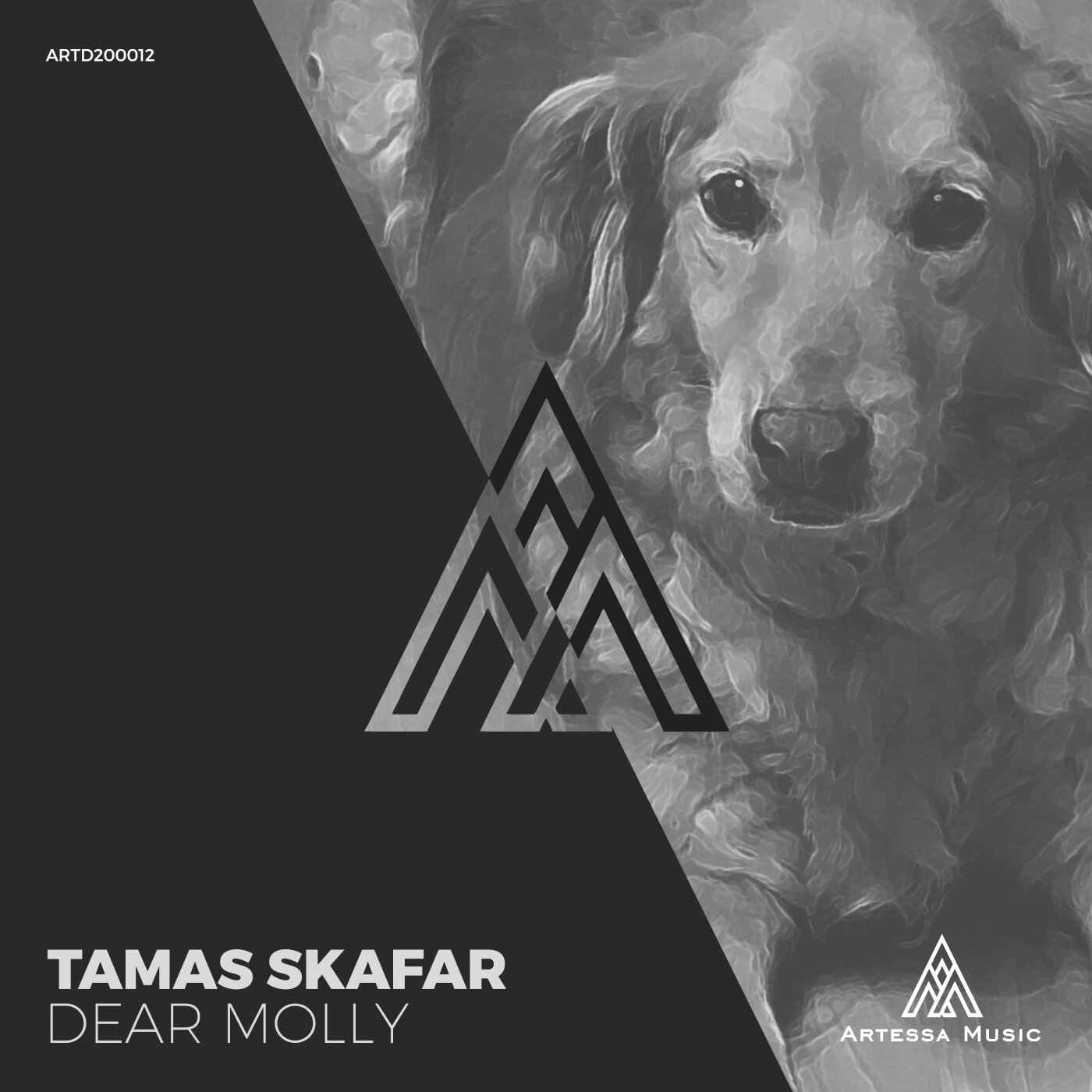 Tamas Skafar