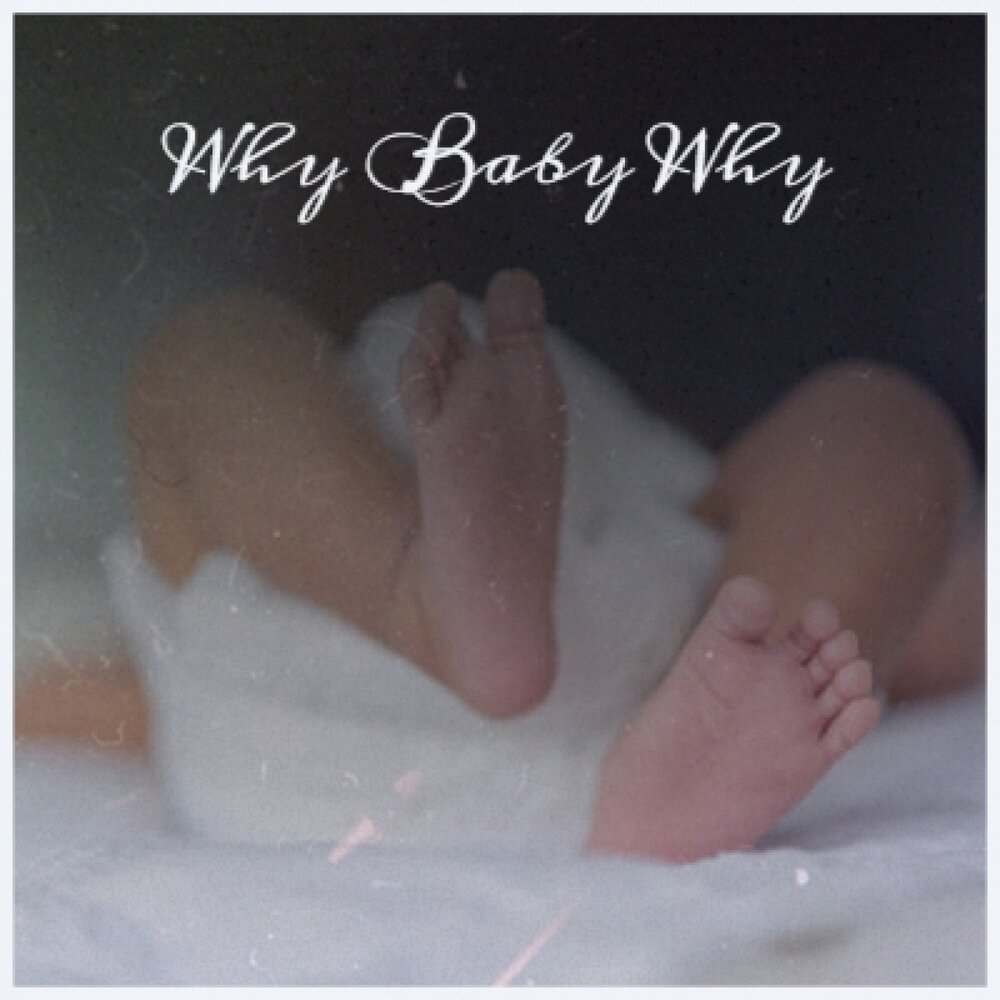 Why baby текст. Why Baby альбом. Новый альбом why Baby. Why Baby киска. Why Baby слушать.