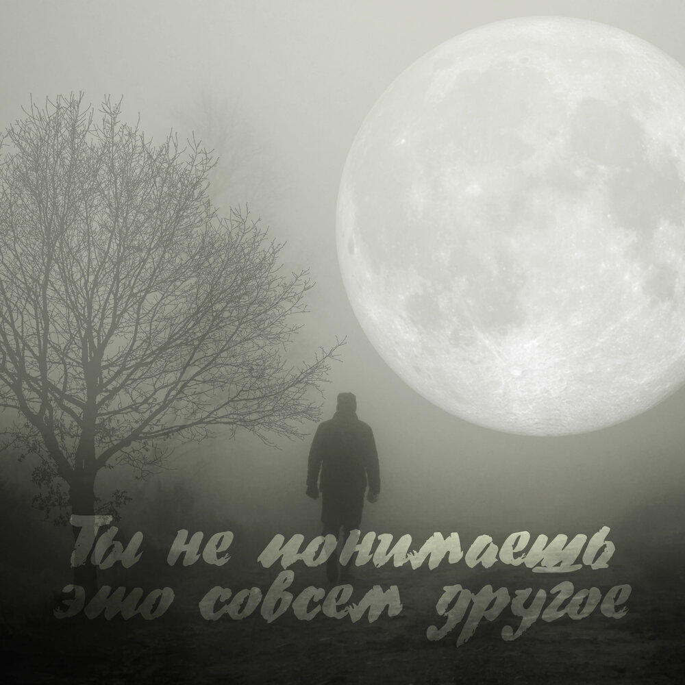 Романтика. Луна любовь. Всадник под луной. Под луной. Картинки про любовь.