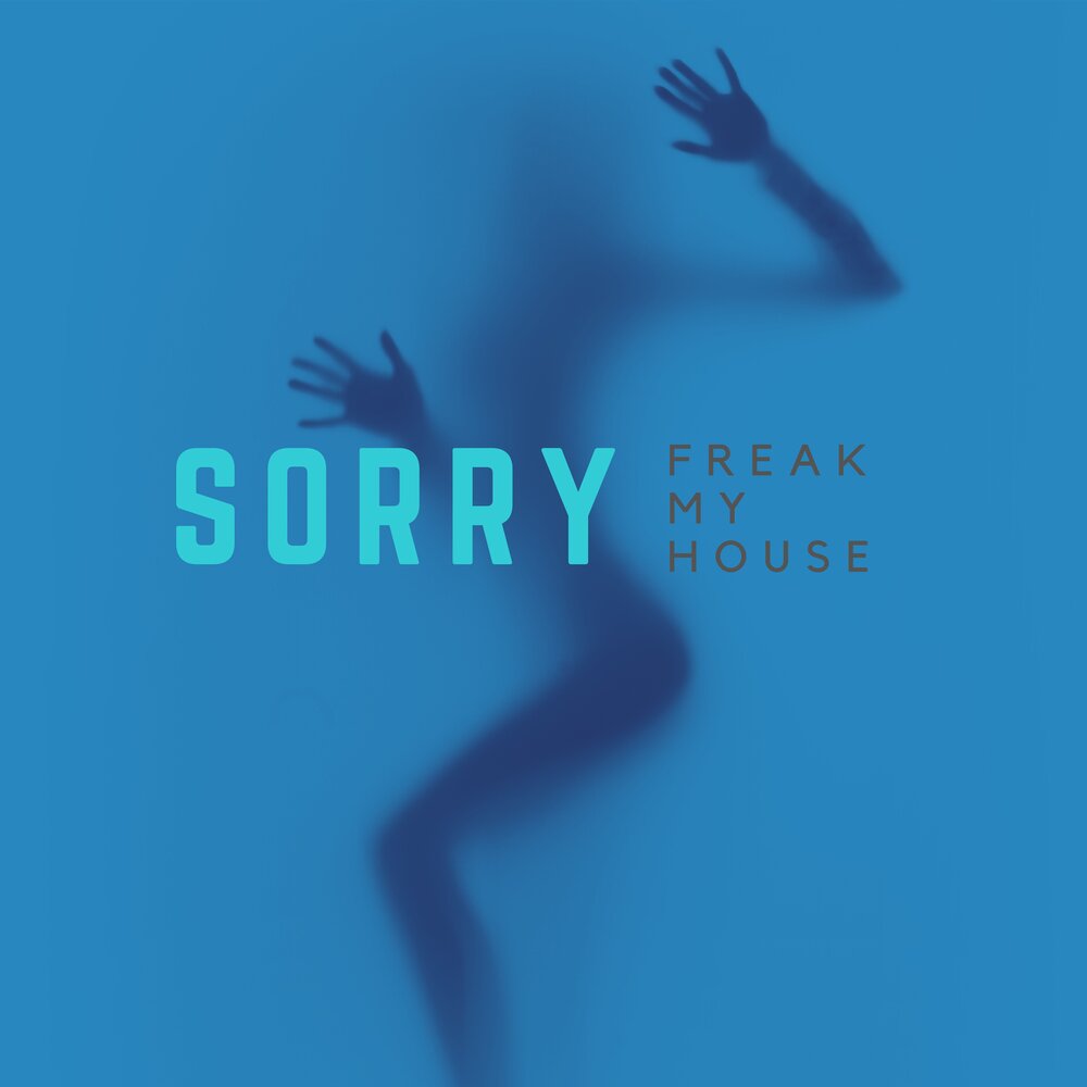 Story sorry. House sorry. трек i feel you freaky on my shadow. 1 класс remix. House sorry.