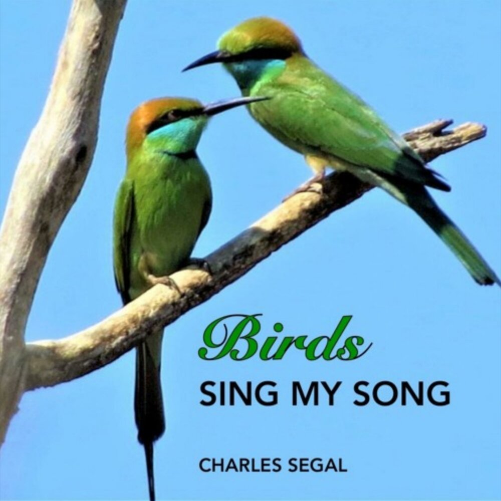 Listen the birds sing. Сегал птица. Сегал животное. Birds of Goa. Birds are singing ppt.