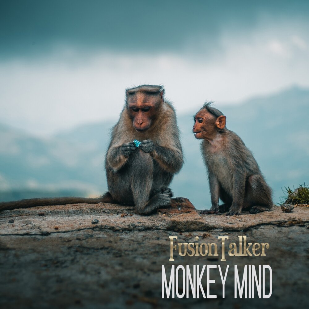 Monkey album. Monkey Mind. Monkey Mind обложки альбомов.