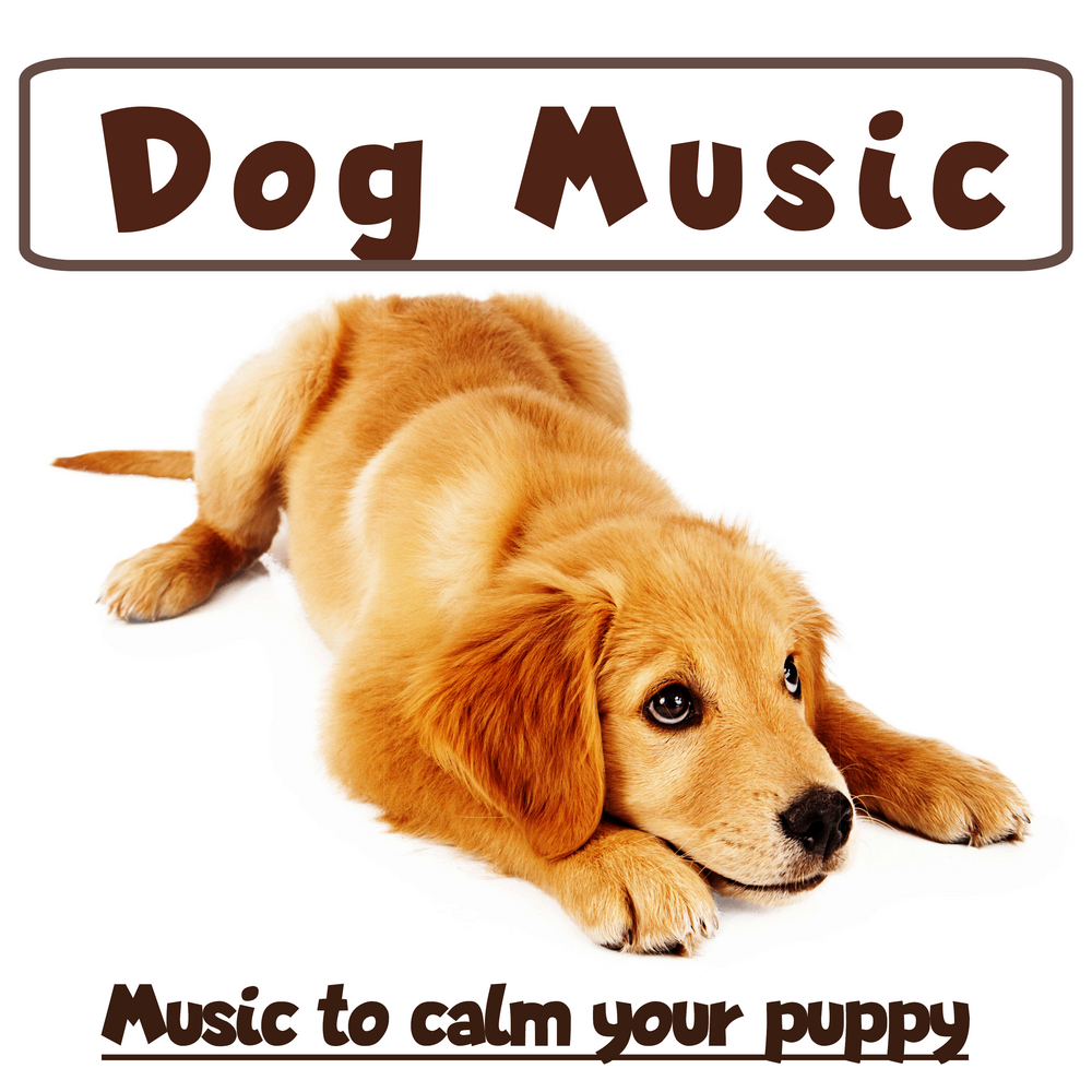 Dog music