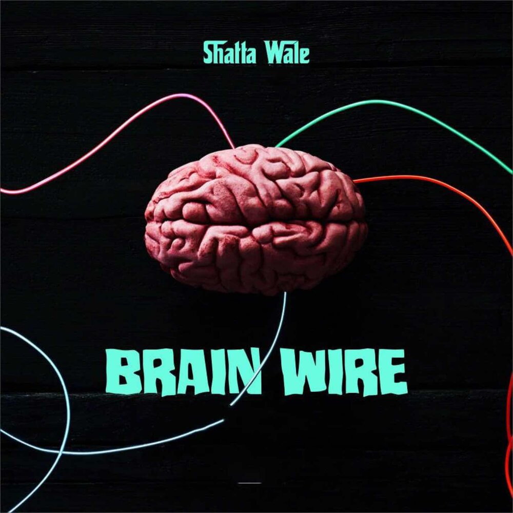 Песни brain. Unknowing Brain исполнитель. Музыка и мозг. Мозг музыканта Ted x. Ski Shilton the rewired Brain.