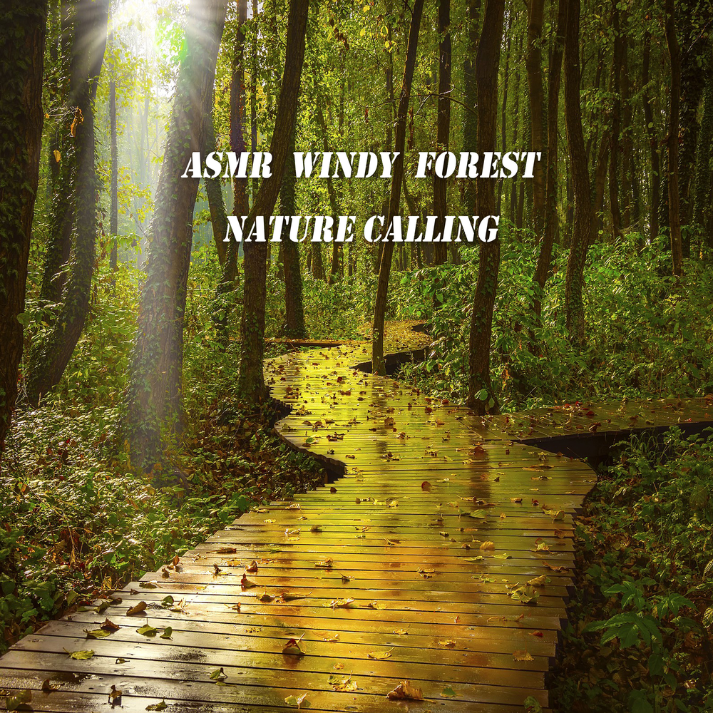 Windy Forest. Call of nature. Nature Call Part one. Nature Calls you. Nature is calling