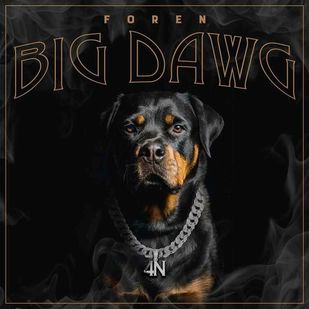 Big dawgs music. Big dawgs music. Big dawg. Dmx blood red. Big dawg.