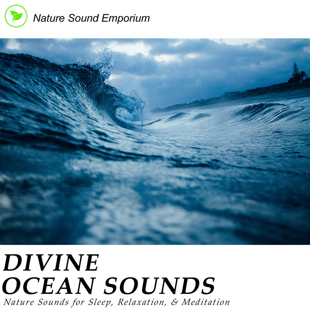 Ocean divine