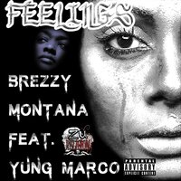 artist-cover
