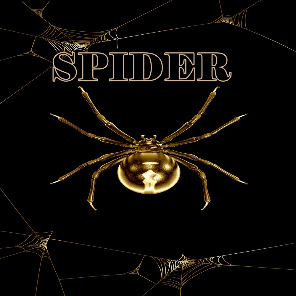 Spider songs. Пауки Локо. The пауки album Covers. Картинка меню музыкальный паук. DJ Spider альбом с белой обложкой.