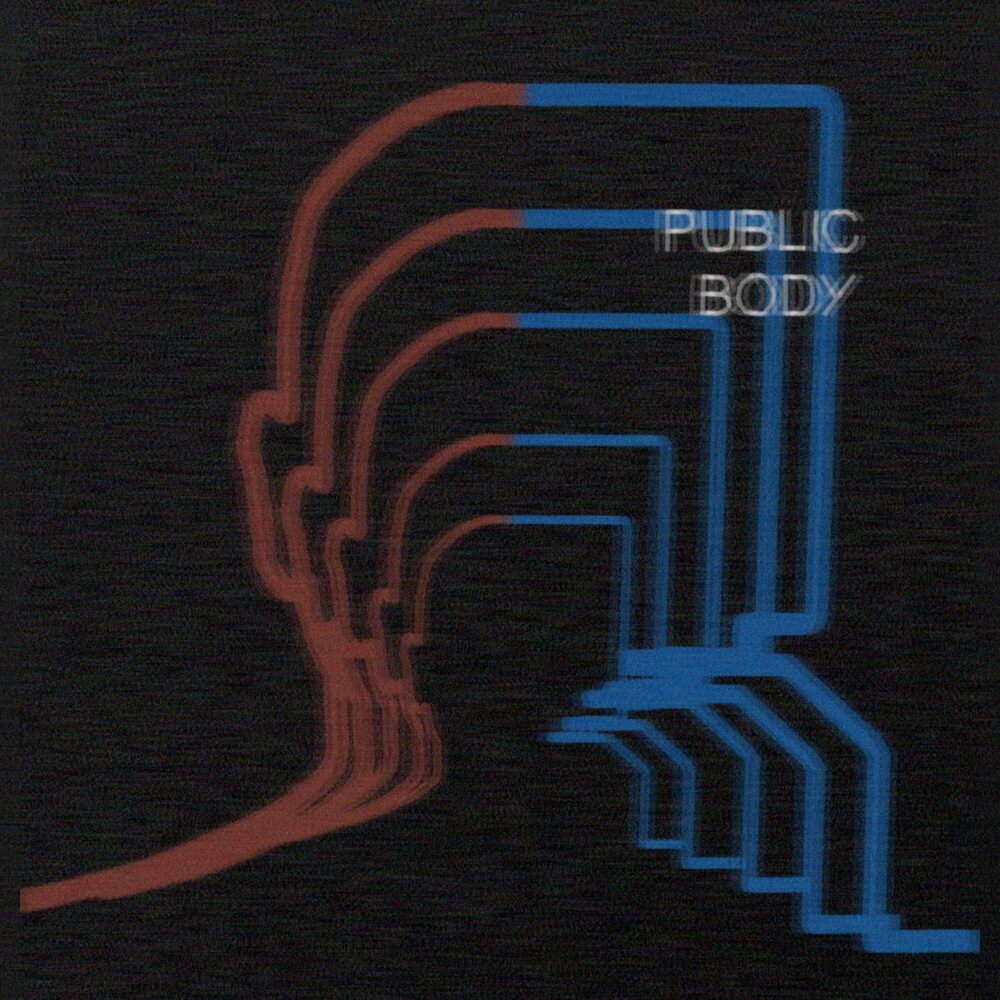 Public bodies is