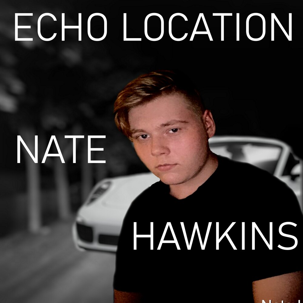 Local echo. Nate Hawkins. Нейт Хокинс. Нейт Хоккинс. Nate Hawkins кто это.