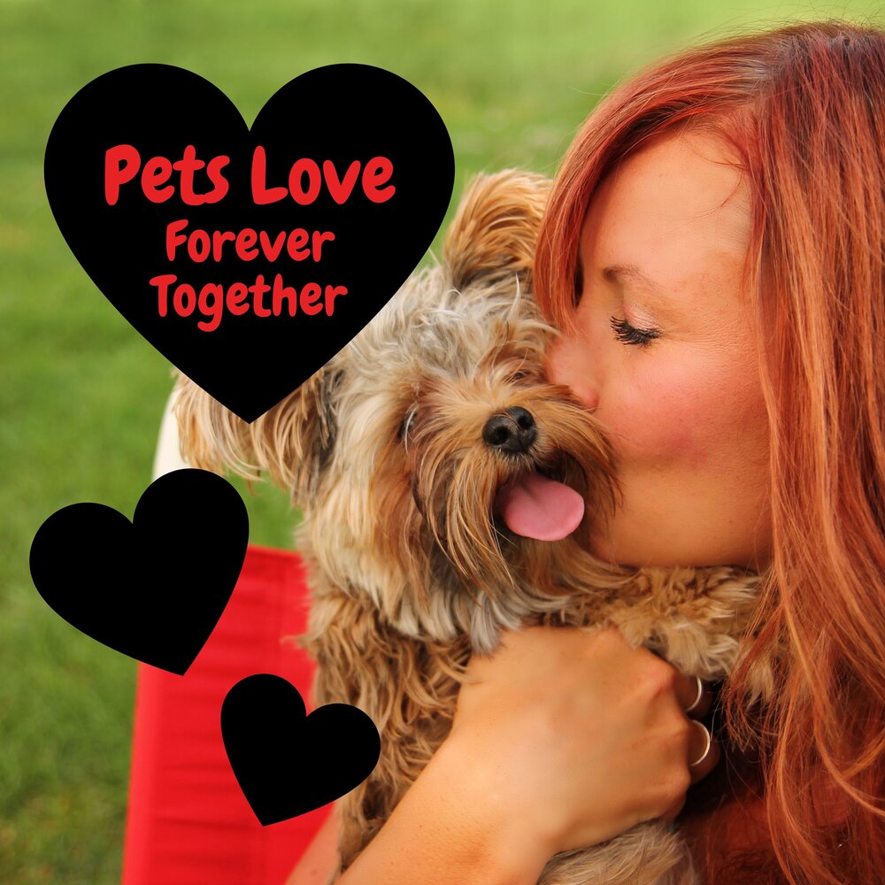 Pet Love. Get love pets