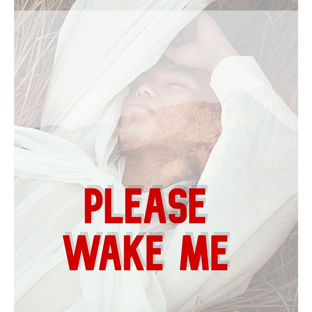 Please wake me up