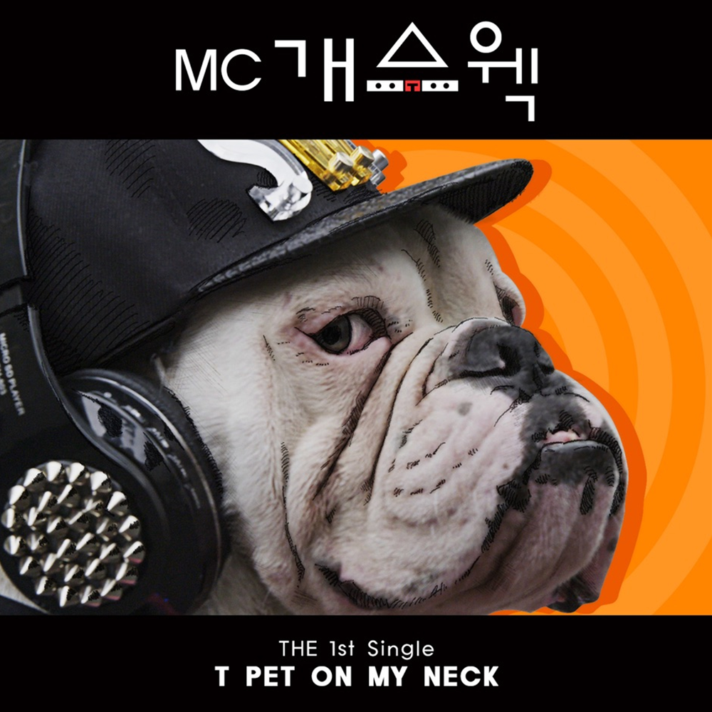Pets музыка. Step on no Pets Music.