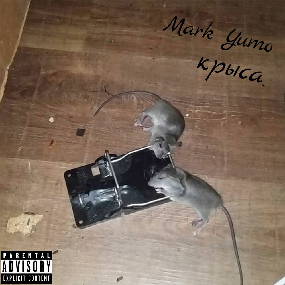 крыска песня