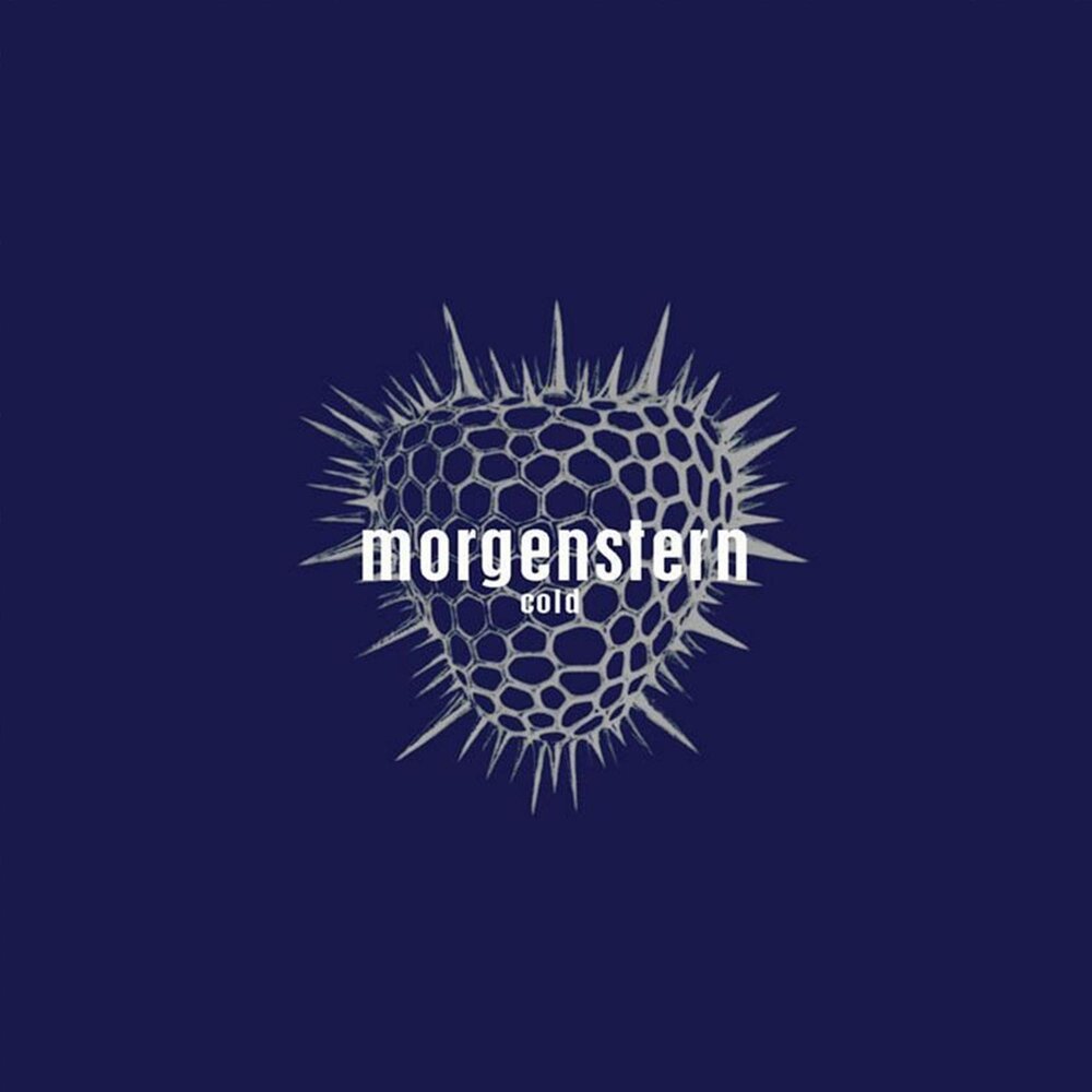 Алишер morgenstern 2020. Моргенштерн альбом песен. Альбом моргенштерна million dollar happiness. Моргенштерн альбом песен. Легендарная пыль моргенштерн.