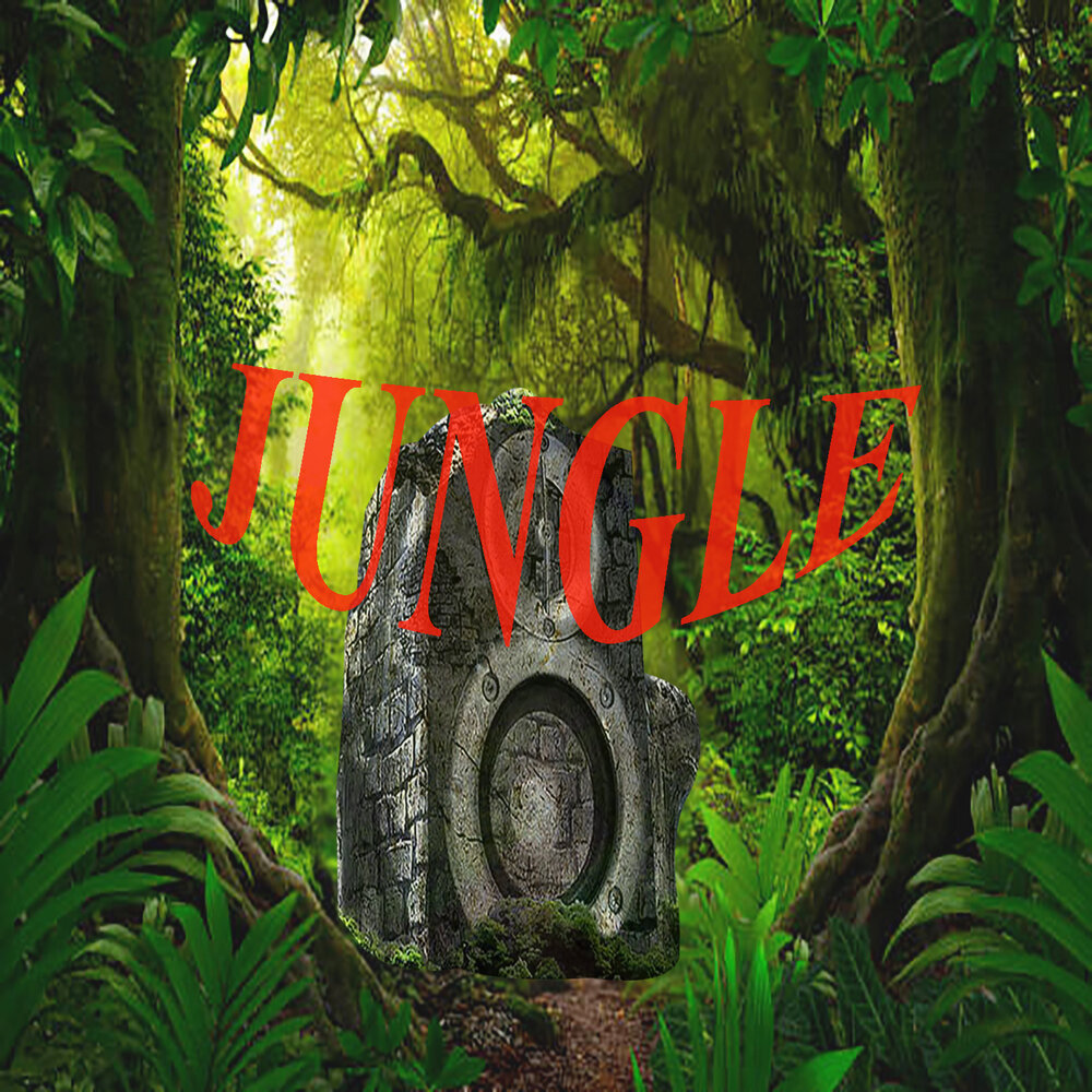 Ин джангл. Jungle Music обои. Песня про джунгли. Обложки про джунгли для песни. Джангл музыка.