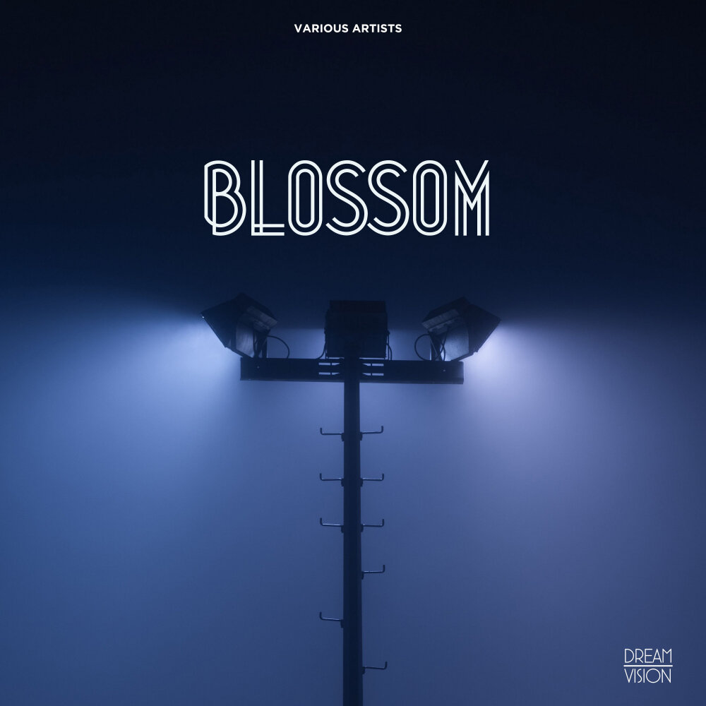 Blossoms слушать. Blossoms слушать. Cd blossoms: cool like you. Blossoms слушать. Blossoms слушать.