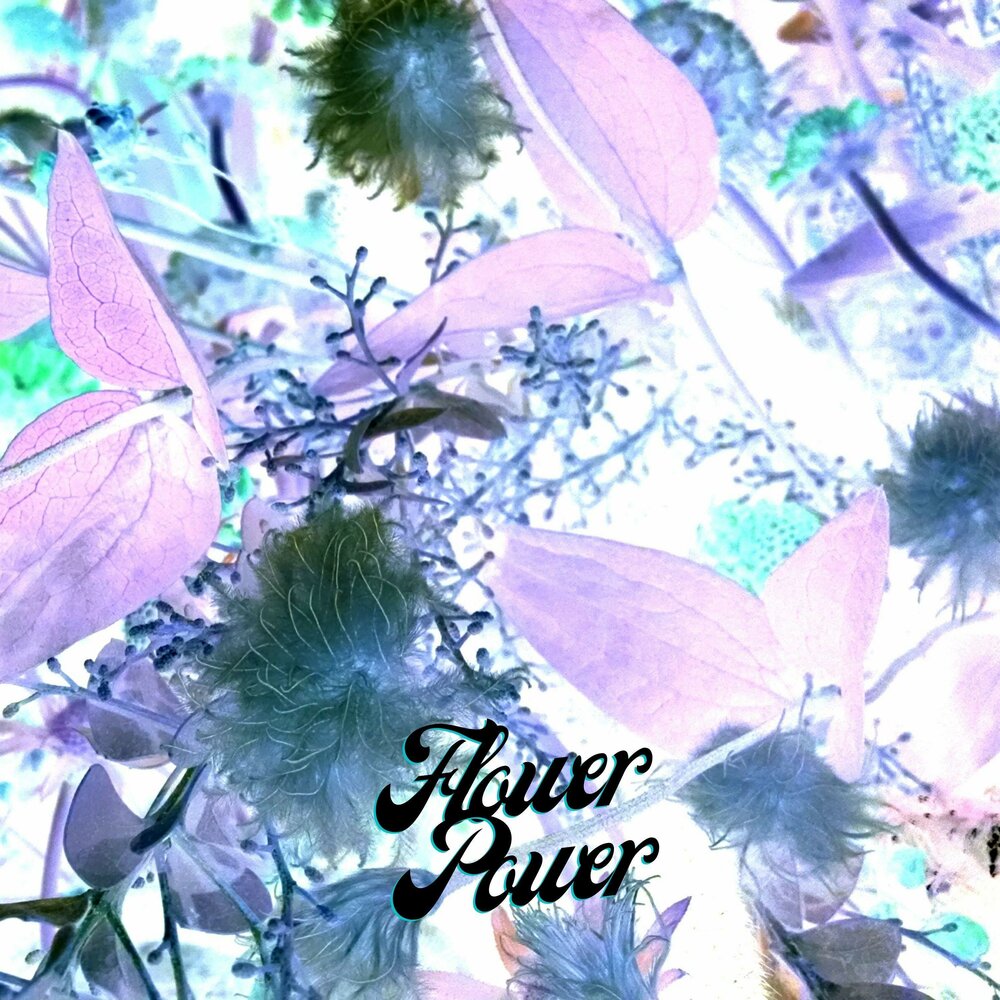 Flower Power С†РІРµС‚С‹