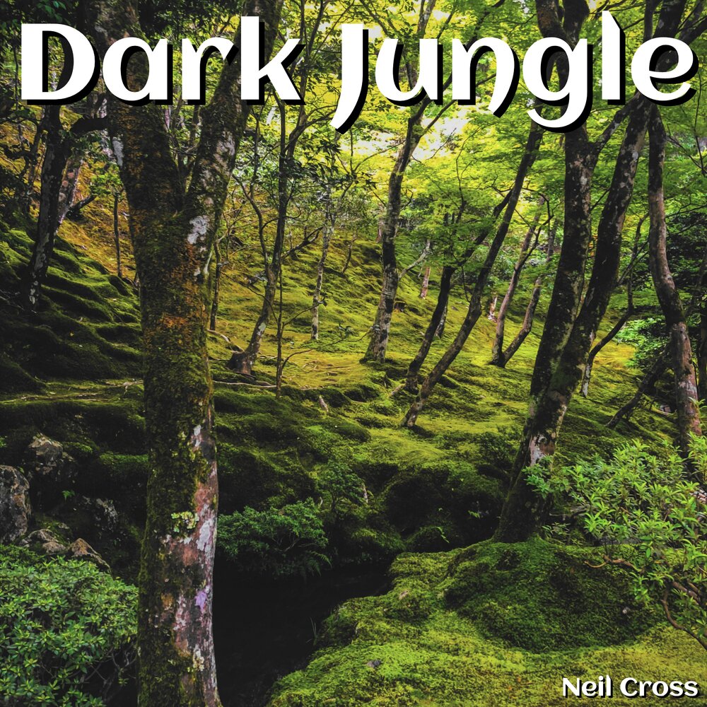 Deep dark jungle extended mix