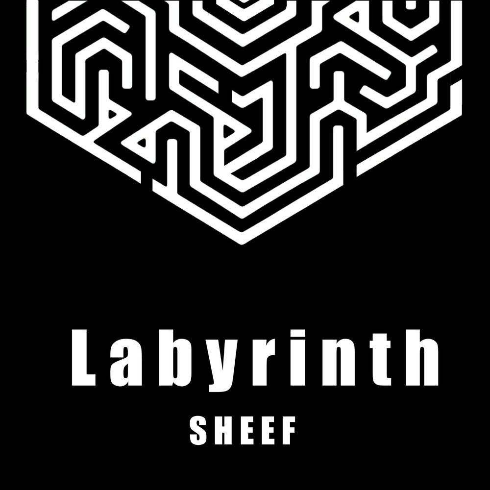 Песня labyrinth speed. Labyrinth альбом 2022. Labyrinth альбом 2023. Sheef. Акустика Лабиринт.