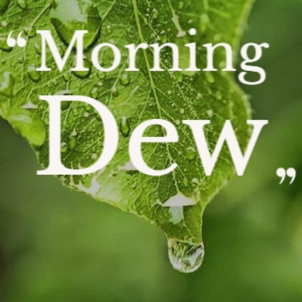 Роса минус. Morning Dew альбом.