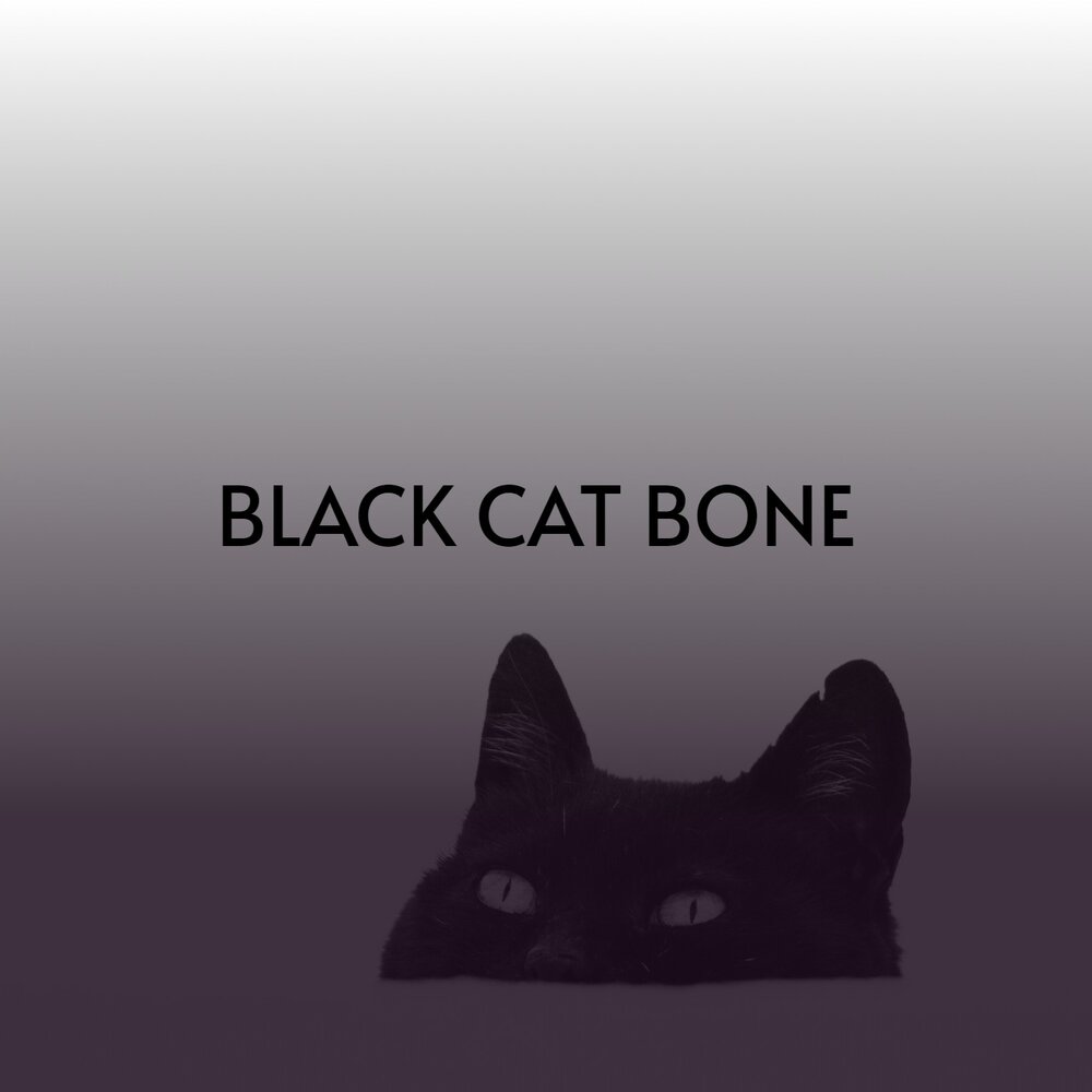 Black cat bone. Black Cat Bone надпись. Black Cat Bones - the long Drive. Black Cat Bone - Black Cat Bone 2024. Black Cat Bones-Tattered and torn(2019).