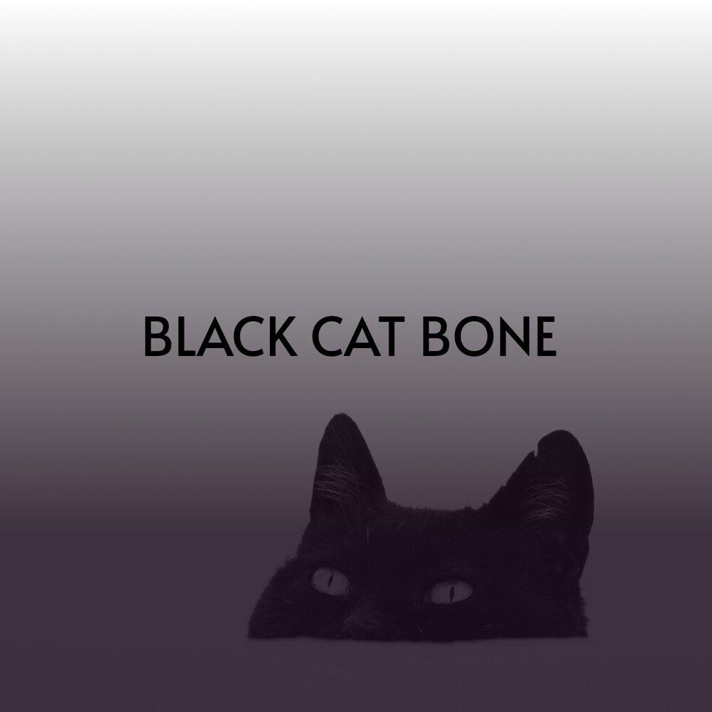 Black cat bone